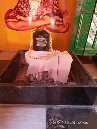 Photo 8286241
