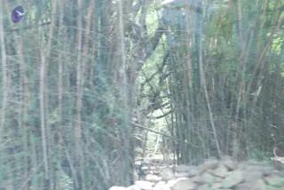 August 03 2009