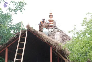 July 22 2010
