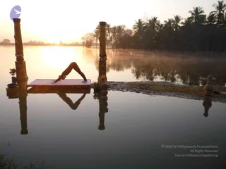 Nithyananda Yoga Poses