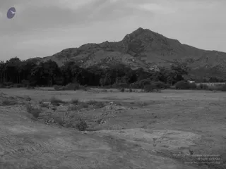 1978 - Tiruvannamalai