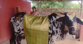 Jun 19 2022 sripuram