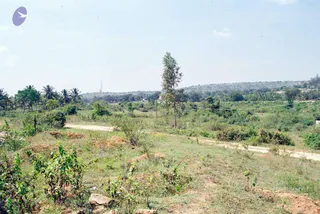 2002 - Glimpses From Various Programs