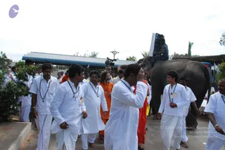 July 11 2009