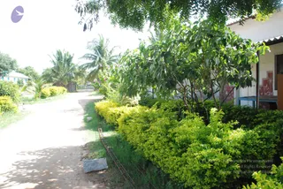 August 29 2009