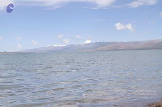 August 05 2011