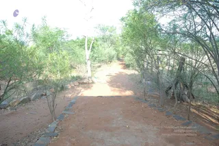 1978 - Tiruvannamalai - InnerGirivala
