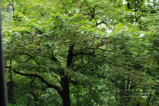 July 07 2008