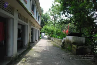 July 10 2008