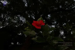 June 05 2010