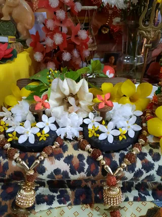 Photo 8286410