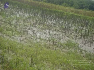 September 2006 - Sindhanur flood relief