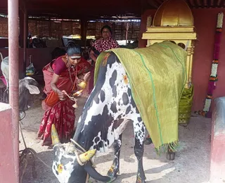 Jan 17 2022 sripuram