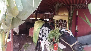 Jan 15 2022 sripuram