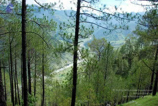 July 01 2008
