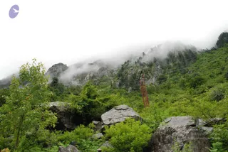 July 08 2008