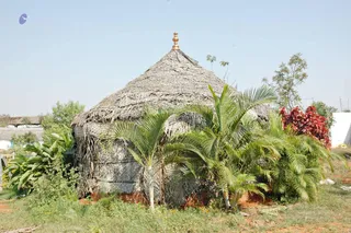 February 19 2008