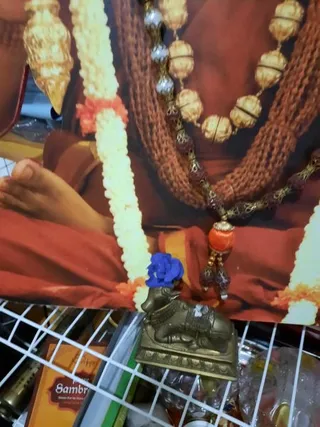 KAILASA SAN FERNANDO, TRINIDAD & TOBAGO on 1/20/2021