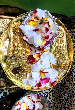 KAILASA SAN JOSE, USA on 4/22/2022