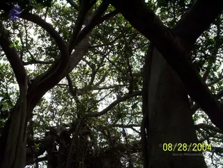 August 28 2004