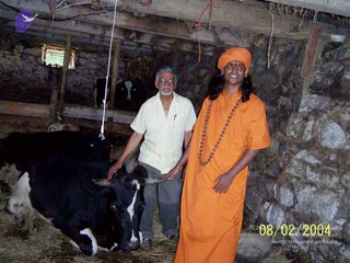 August 02 2004