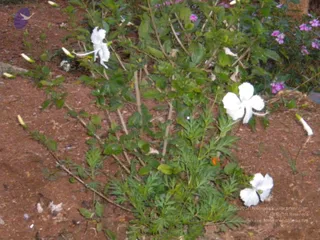 October 01 2010