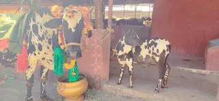 Jan 16 2023 sripuram