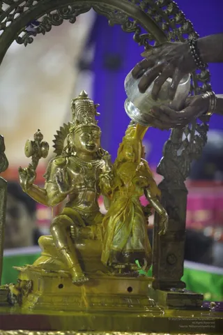20111110 IMG 3517-327001.jpg