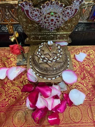Photo 8286547