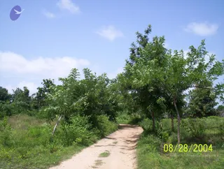 August 28 2004