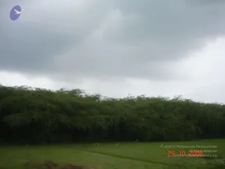 October 29 2006