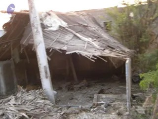 October 02 2009