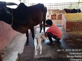 Jan 11 2022 sripuram