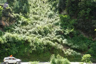 July 02 2008
