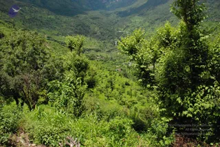 July 07 2008