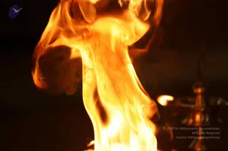 May 31 2018