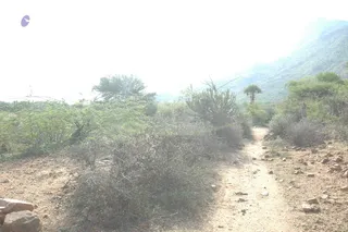 1978 - Tiruvannamalai - InnerGirivala