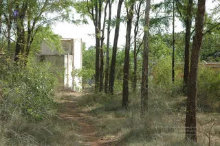 1978 - Tiruvannamalai - InnerGirivala