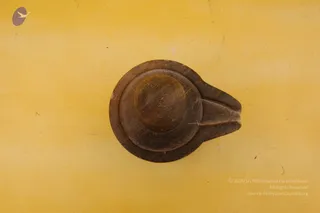 Rare archival collection