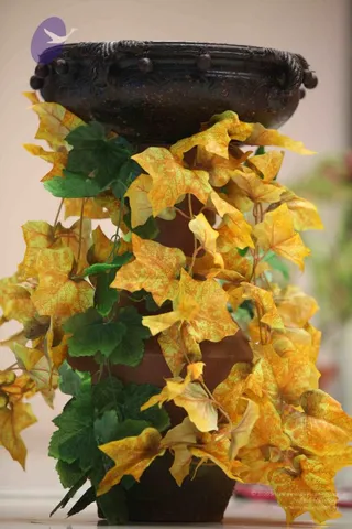 20111103 Photo 1169 10X7IBIC0DvNUOIP0UEI36ta8Xqcbj5tZ.JPG