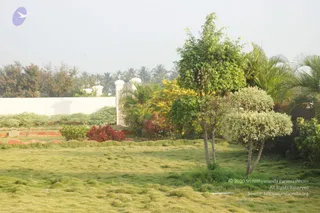 December 11 2007