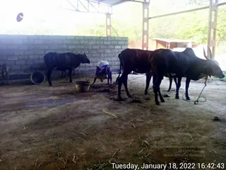January 18 2022