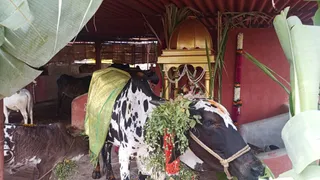 Jan 15 2022 sripuram