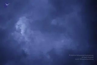 August 10 2011