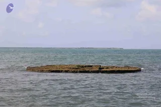 April 29 2018