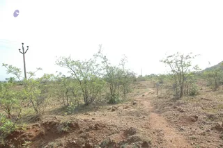 1978 - Tiruvannamalai - InnerGirivala