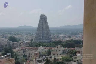 May 20 1989