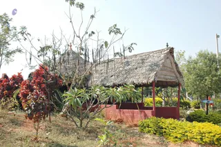 February 19 2008