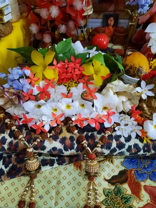 Photo 8286713