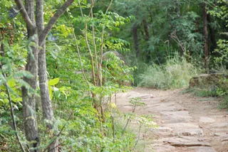 August 03 2008